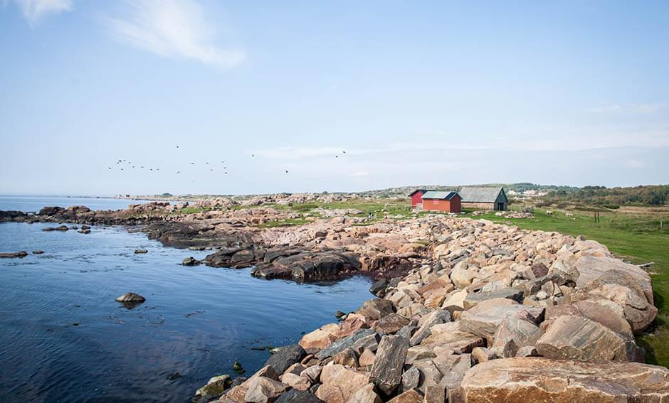 Text som beskriver bilden